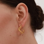 Fulani Earrings - 