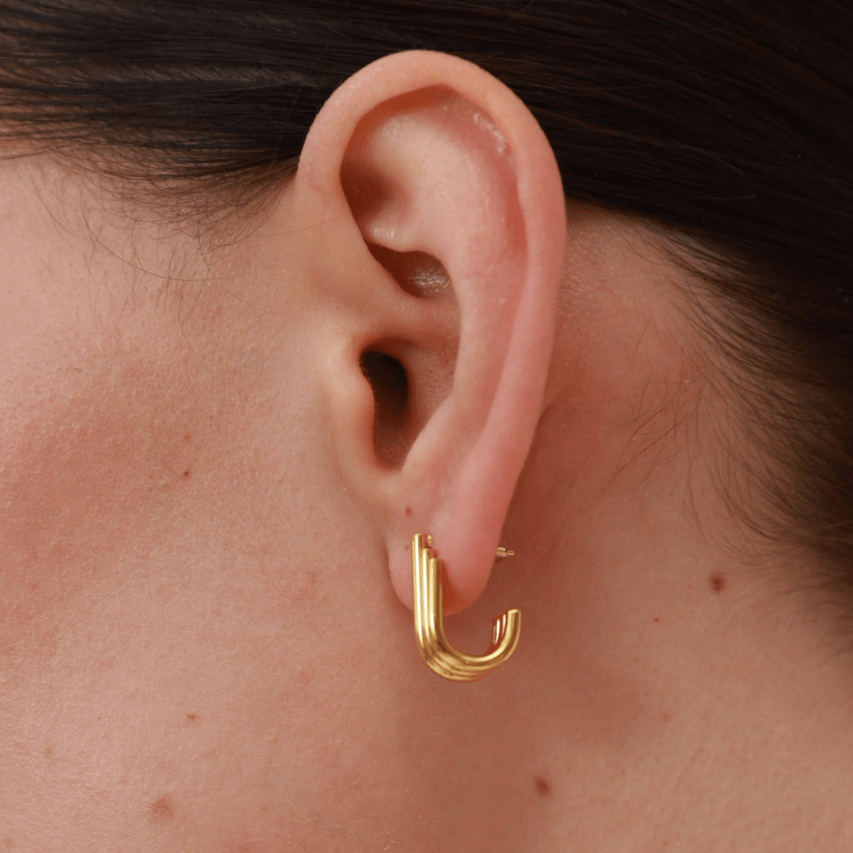 Harmony Open Ovate Hoops - 