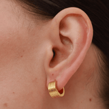 Ridge Hoop Earrings - 