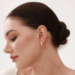 Harmony Open Ovate Hoops - 