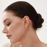 Harmony Open Ovate Hoops - 