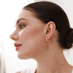 Ridge Hoop Earrings - 