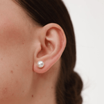 Fine Pearl Earrings - 