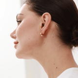 Ridge Hoop Earrings - 