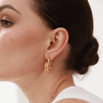 Coiled Serpent Earrings - 
